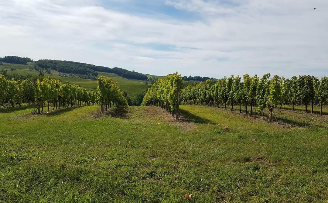 Domaine Et Manoir Du Picaud Villa Monestier  Eksteriør bilde