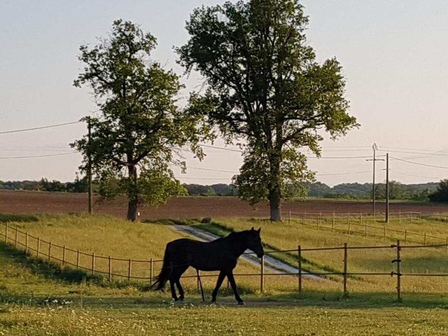 Domaine Et Manoir Du Picaud Villa Monestier  Eksteriør bilde